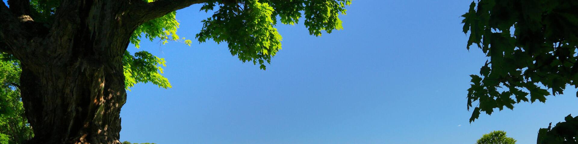 E63W0J Barn, Union, Maine, USA