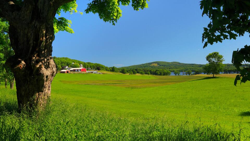 A large tree in the foreground, a red barn, and a lake in the distance.