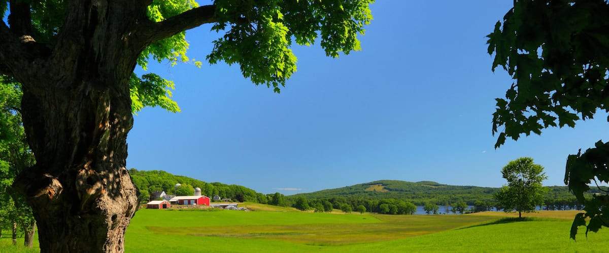 A large tree in the foreground, a red barn, and a lake in the distance.