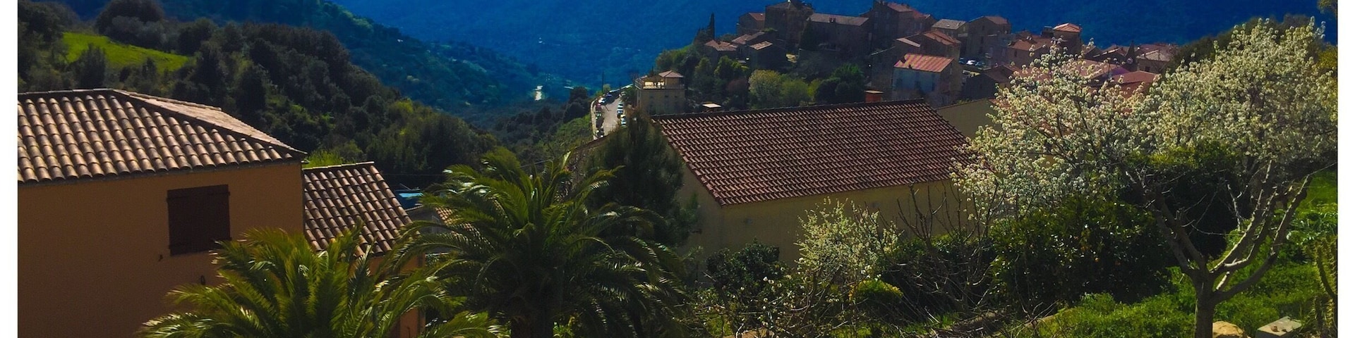 Daily tour across the isle.