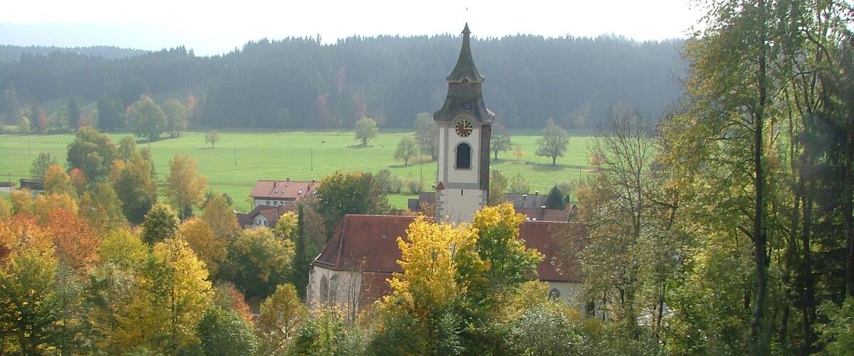 A church with a clock tower surrounded by autumn-colored trees and a green field.
