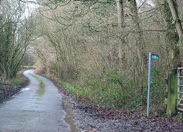 Southern tip of Hay Wood With footpath heading towards Shaw Common.