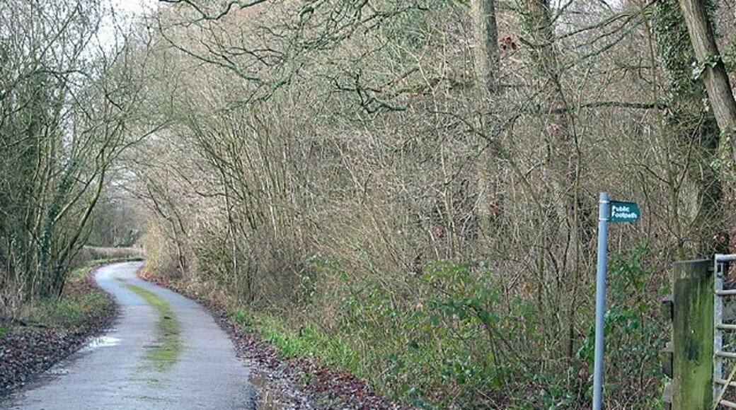 Southern tip of Hay Wood With footpath heading towards Shaw Common.