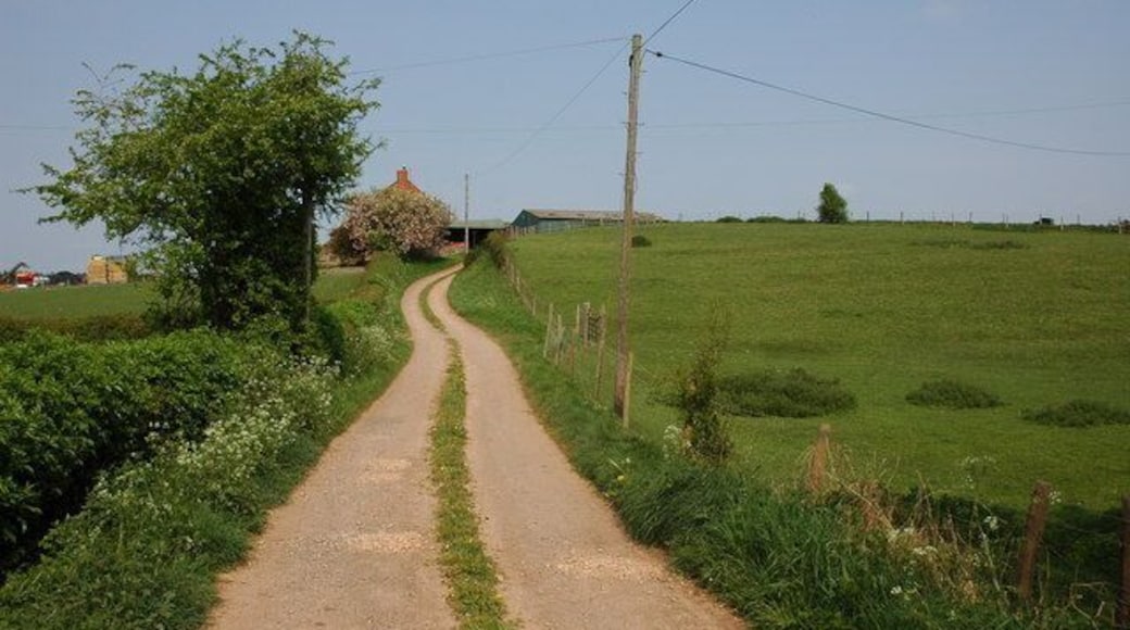 Farm drive up to Hill House, Kilcot
