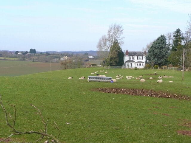 Paisaje rural con un extenso campo de ovejas, una casa blanca y colinas onduladas al fondo.