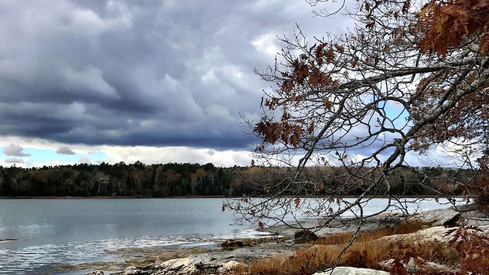 A rocky shoreline with a lake, autumn leaves, and a cloudy sky.