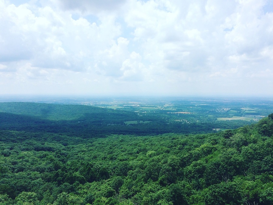 Popular day hike in the area. Met lovely people and a couple rattle snake along the way.