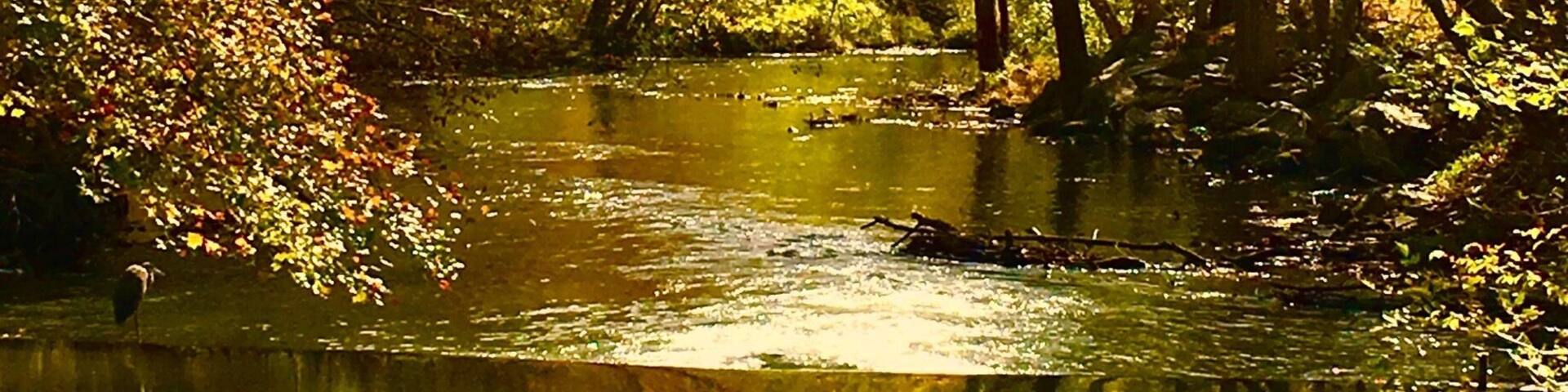 Downstream from Brighten Dam, Olney, MD
