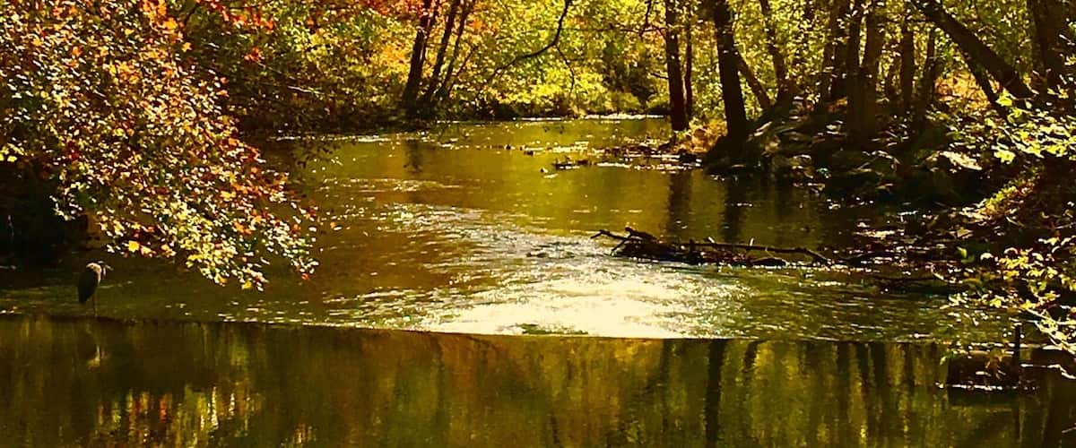 A river surrounded by autumn foliage.