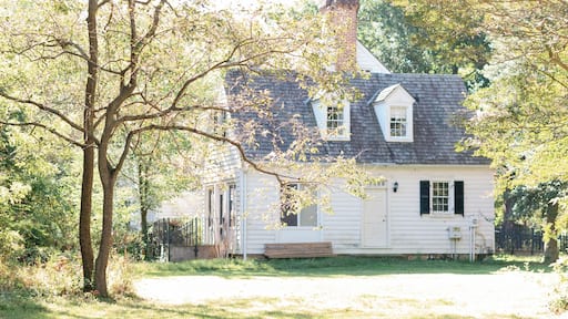 براندي واين