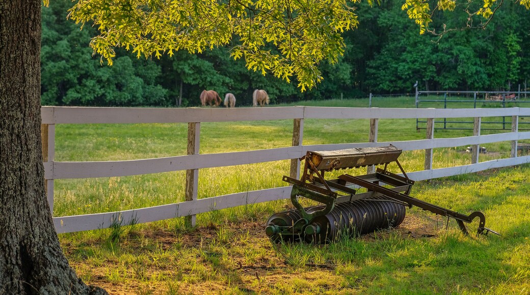 La Plata, Maryland, USA - May 11, 2018: Sunset on the farm with a plow in front of a fence