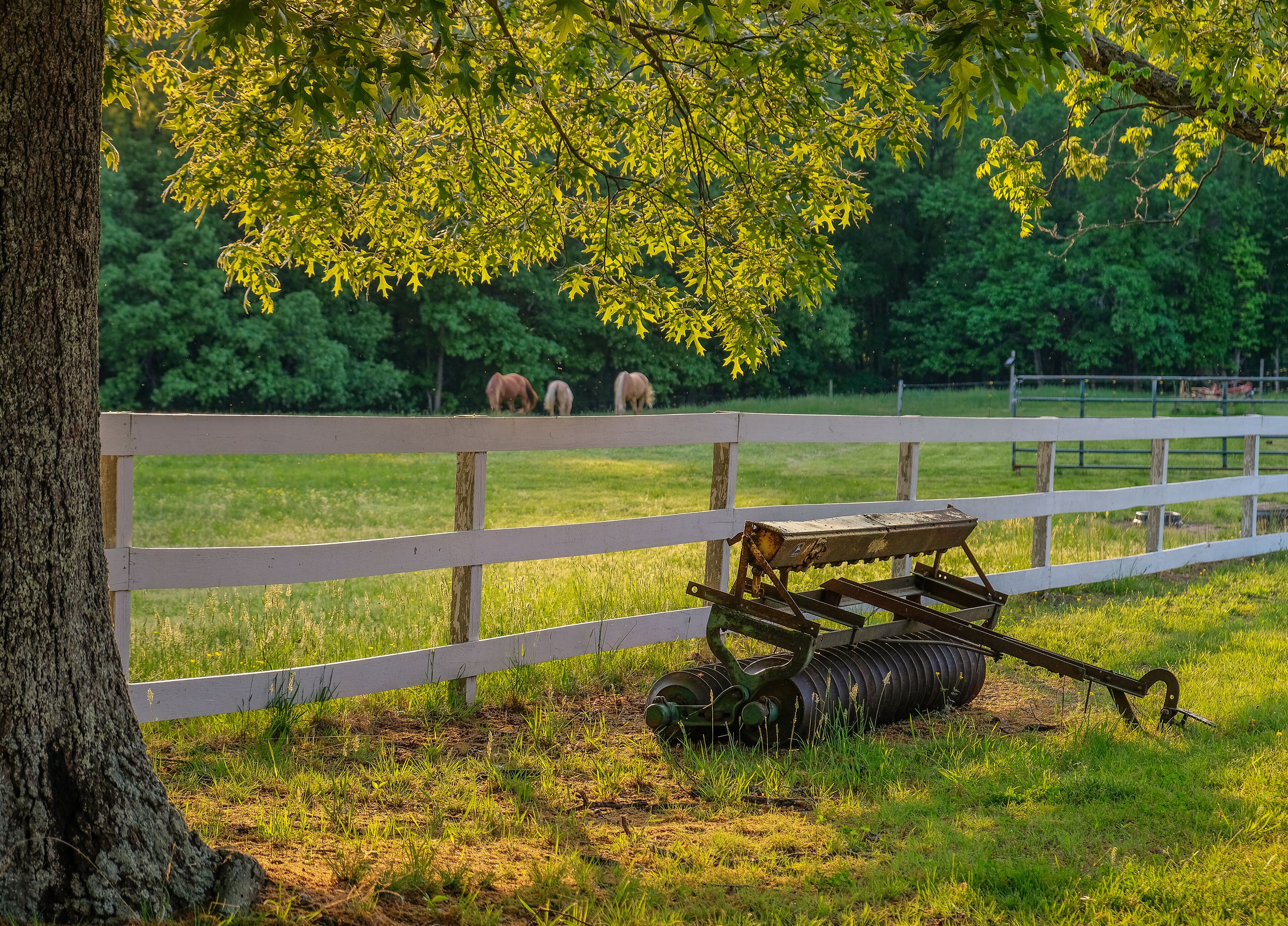 A white wooden fence, a tree, and a tractor in a grassy field with horses in the background.