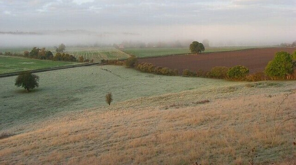 Farmland between Hambleden and Medmenham Looking down over frosty pasture and arable fields with mist over the Thames.