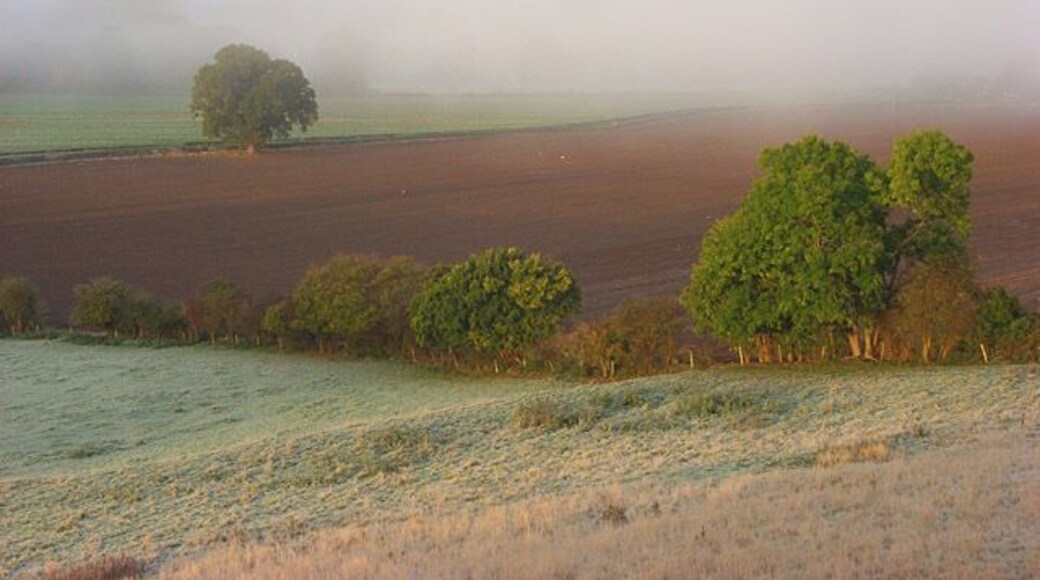 Farmland between Hambleden and Medmenham A frosty morning followed a clear night. A bank of fog was localised to vicinity of the Thames.