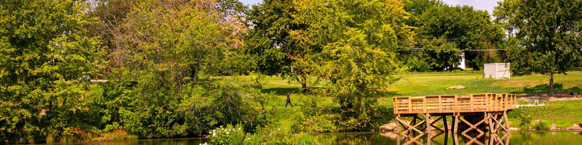 A scenic pond with a wooden fishing pier in Clarksburg. This little area is a popular hiking spot for the neighborhood. The pond is surrounded with trees and shrubs and is booming with wildlife.