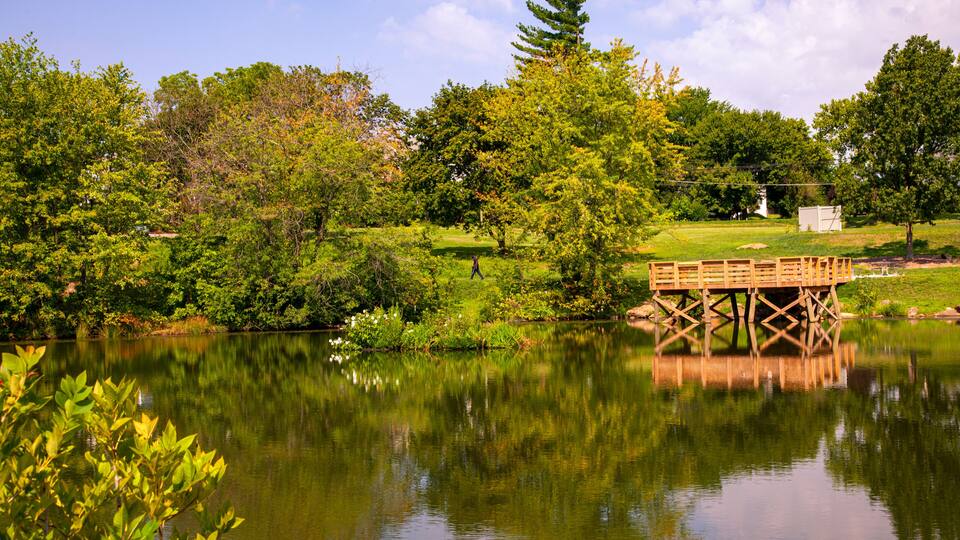 A serene lake with a wooden dock, lush greenery, and a clear sky.