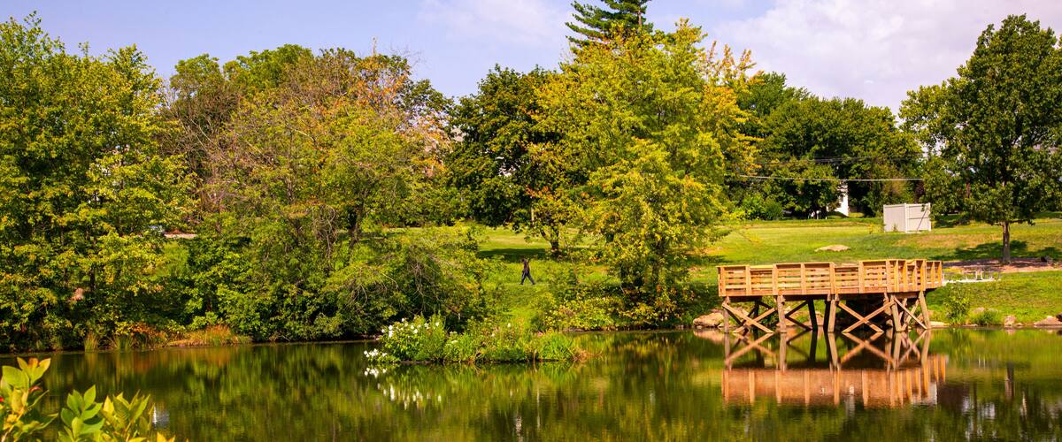 A serene lake with a wooden dock, lush greenery, and a clear sky.