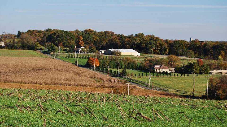 A rural landscape with fields, a road, and houses.