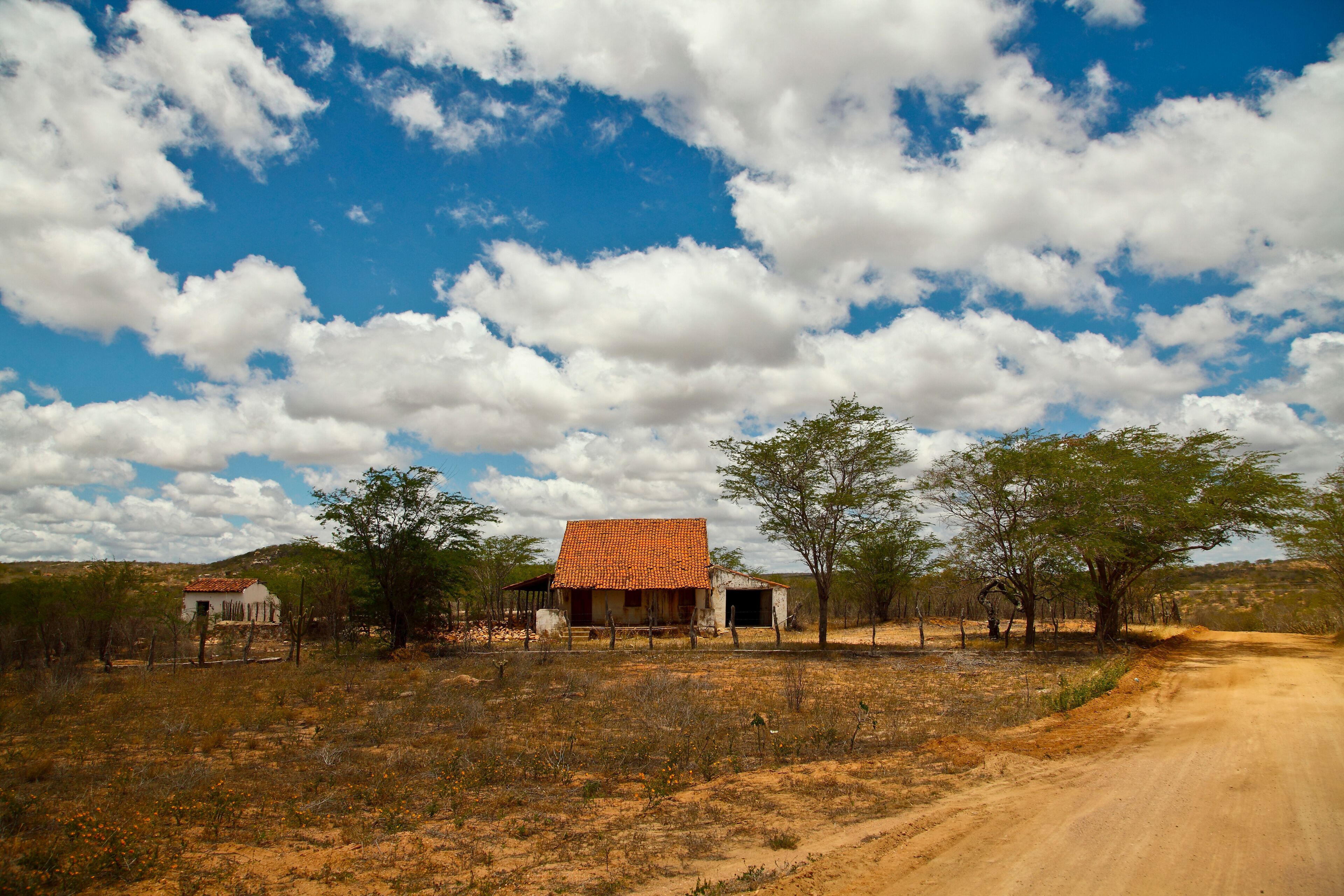 Brasile, Seridao Paraibano