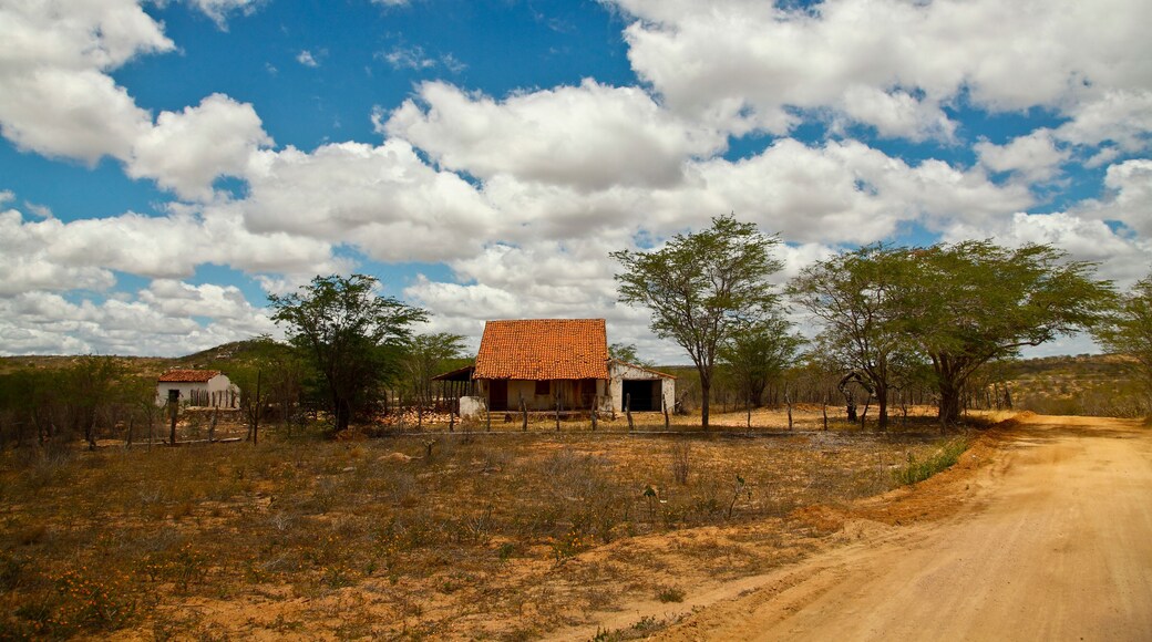 Brasile, Seridao Paraibano