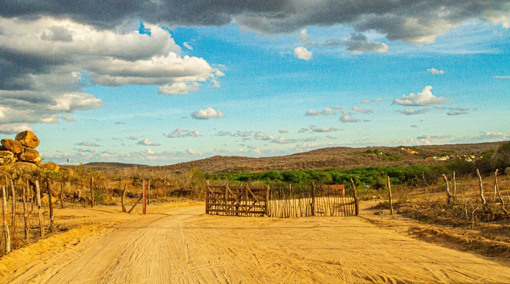 landscapes of caatinga and brazilian wild - paraíba, brazil
