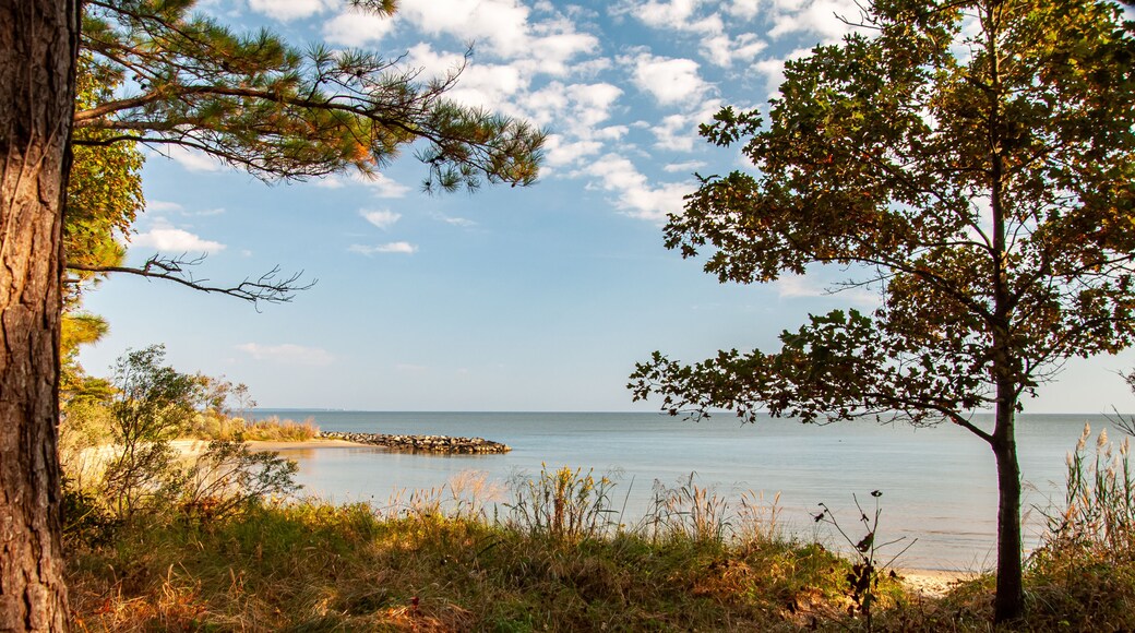 Elms Beach Park on the Chesapeake Bay in Maryland