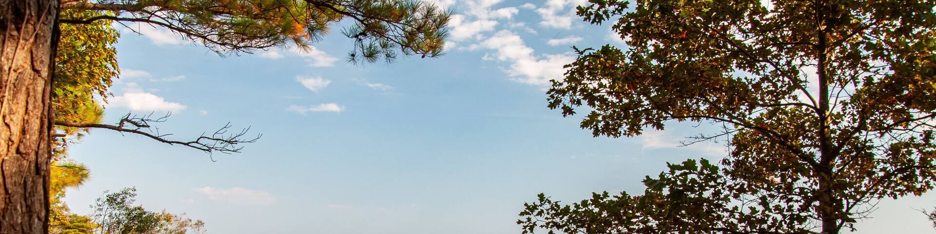 Elms Beach Park on the Chesapeake Bay in Maryland