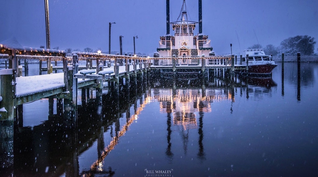 Awesome restaurant in East new market MD. They have two paddle boats that do dinner and special event cruises