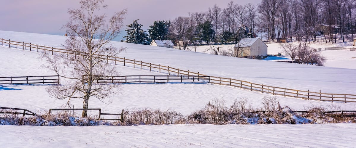 A snow-covered landscape with a wooden fence, a tree, and a barn in the background.