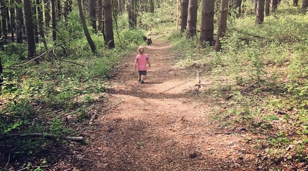 Great hikes to take little ones with you