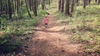 Great hikes to take little ones with you