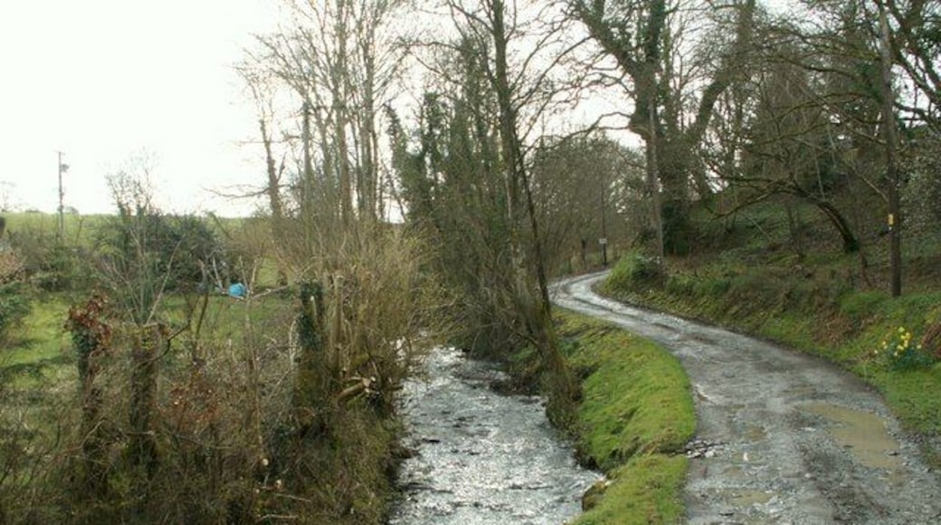 Nant Meurig Looking SE from Gartheli.