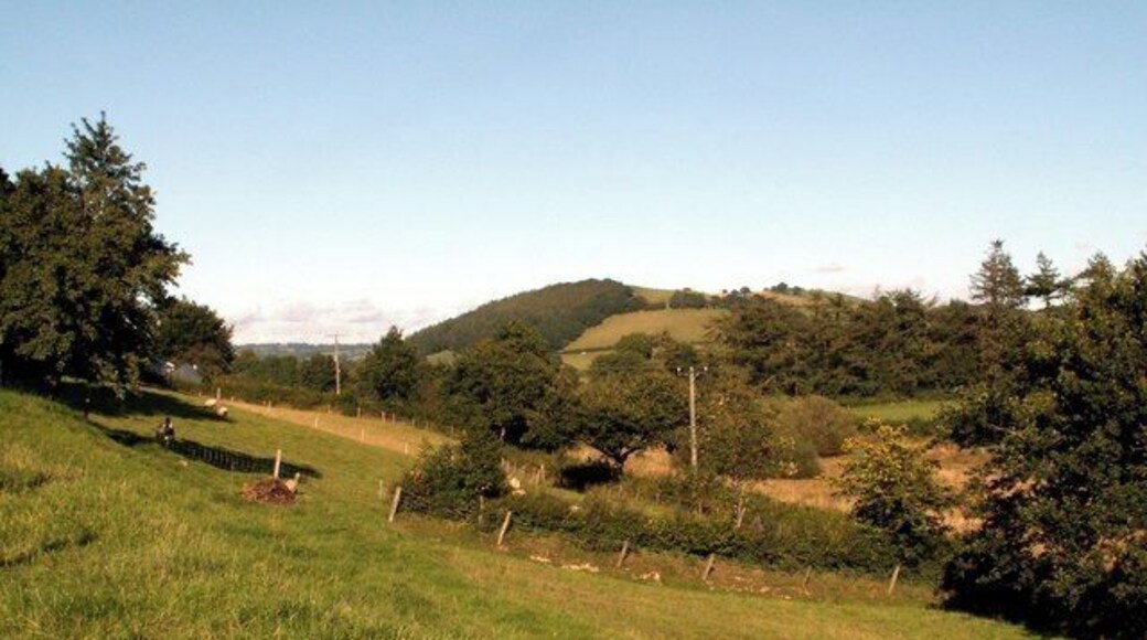 The Aeron Valley from the B4342 Near Llundain-fach.