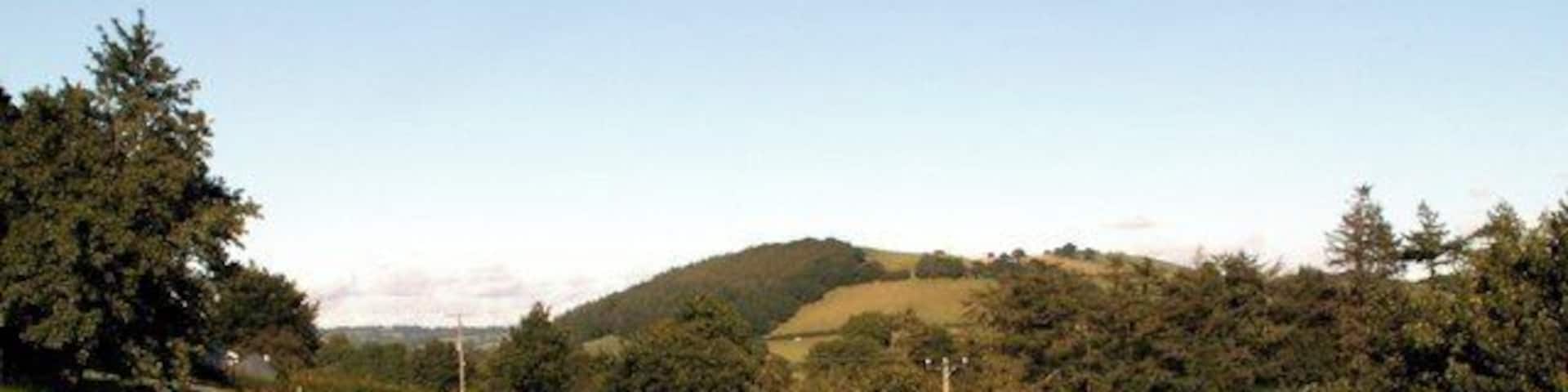 A grassy hillside with trees and a fence.