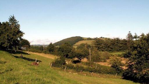 The Aeron Valley from the B4342 Near Llundain-fach.
