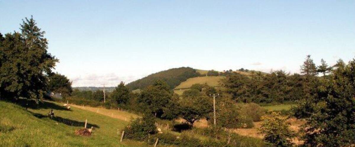 A grassy hillside with trees and a fence.