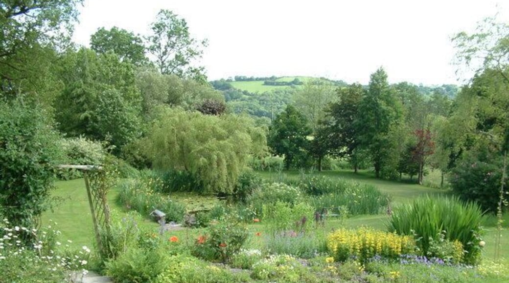 Winllan Wildlife Garden. http://www.ngs.org.uk/ngs-bin/gardenq2.cgi?gardenID=9496&county=Ceredigion/Cardiganshire