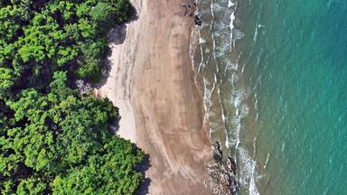 Downward drone shot of Etty beach ocean and rainforest