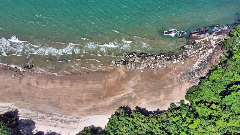 Downward drone shot of Etty beach ocean and rainforest