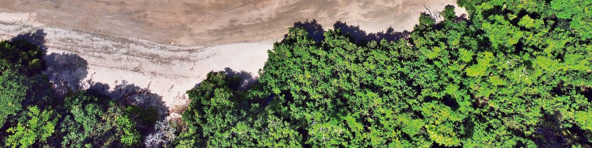 Downward drone shot of Etty beach ocean and rainforest
