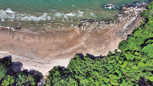 หาดฟอร์เรสต์