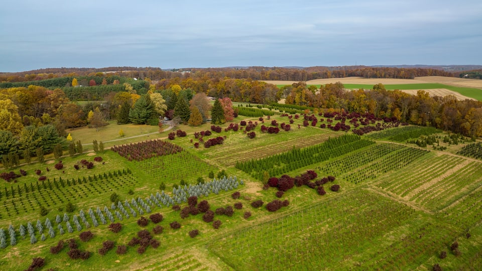 An aerial view of a landscaped area with various tree plantations and open fields.