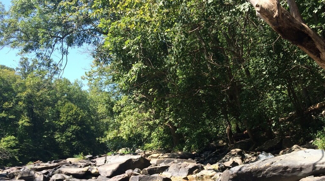 Great hike in Gun Powder Falls State Park in Maryland. Beautiful trees, interesting trail and beautiful wading water along the way.