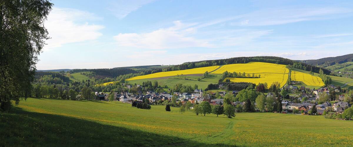 A rural landscape with a village nestled among rolling hills, a prominent yellow field, and a forested mountain in the background.