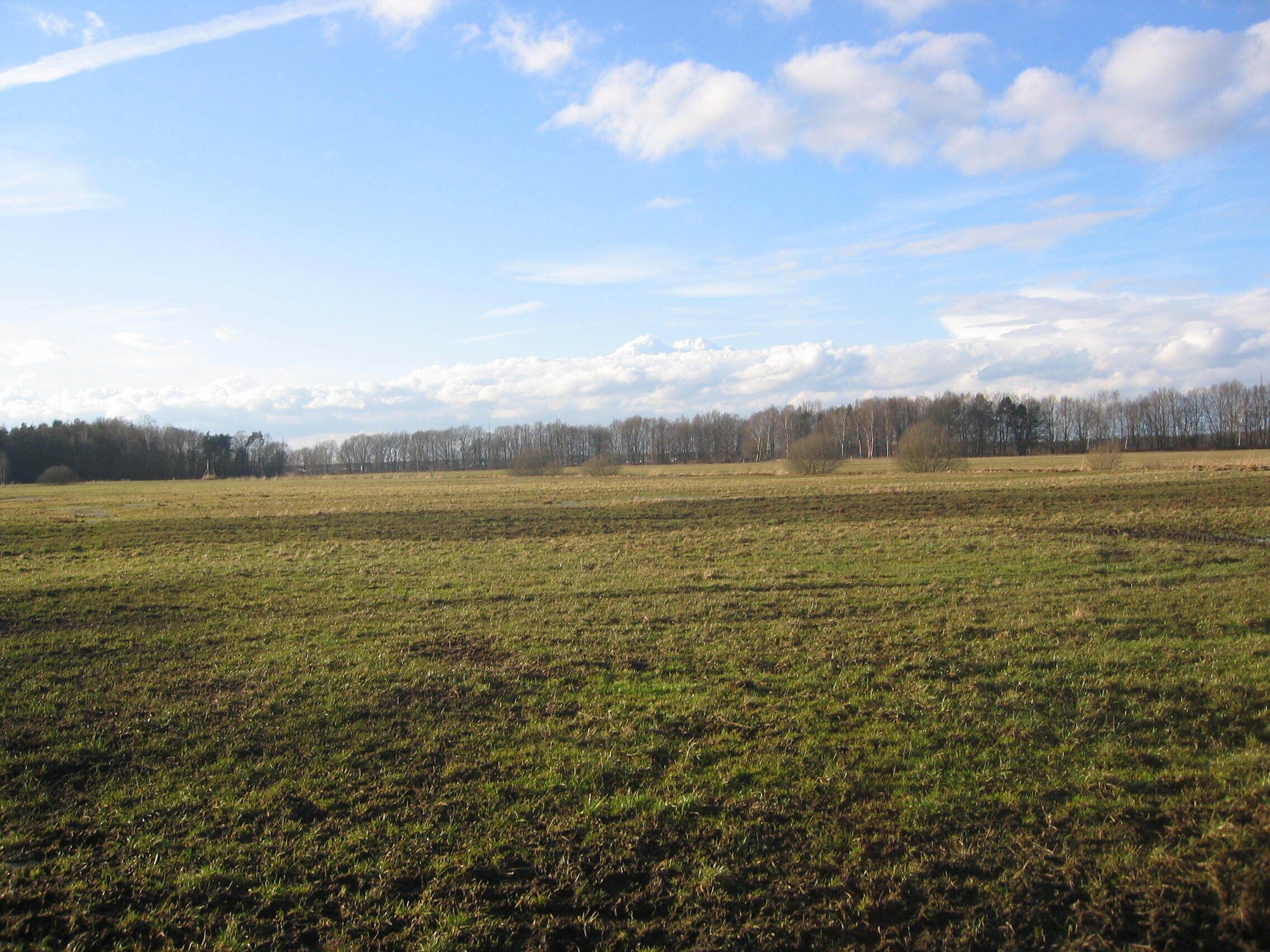 Ruhland, Am Buschgraben, Blick nach Westnordwest, Winter; vorn Am Buschgraben (Flurname), früher In den Buschwiesen (alter Flurname); im Hintergrund die Baumreihe auf den Elsterdeichen, davor "An der Schwarzen Elster (West)" (Flurname); früher hinter der Schwarzen Elster Die Breite (alter Flurname); im Mittelgrund ein Abzweig des Buschgrabens, Wald links Im Busch (alter Flurname), jetzt zu Am Ruhlander Schwarzwasser (Flurname)