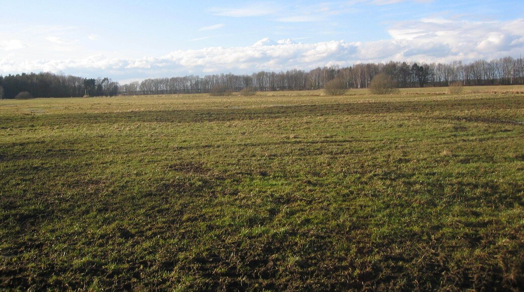 Ruhland, Am Buschgraben, Blick nach Westnordwest, Winter; vorn Am Buschgraben (Flurname), früher In den Buschwiesen (alter Flurname); im Hintergrund die Baumreihe auf den Elsterdeichen, davor "An der Schwarzen Elster (West)" (Flurname); früher hinter der Schwarzen Elster Die Breite (alter Flurname); im Mittelgrund ein Abzweig des Buschgrabens, Wald links Im Busch (alter Flurname), jetzt zu Am Ruhlander Schwarzwasser (Flurname)