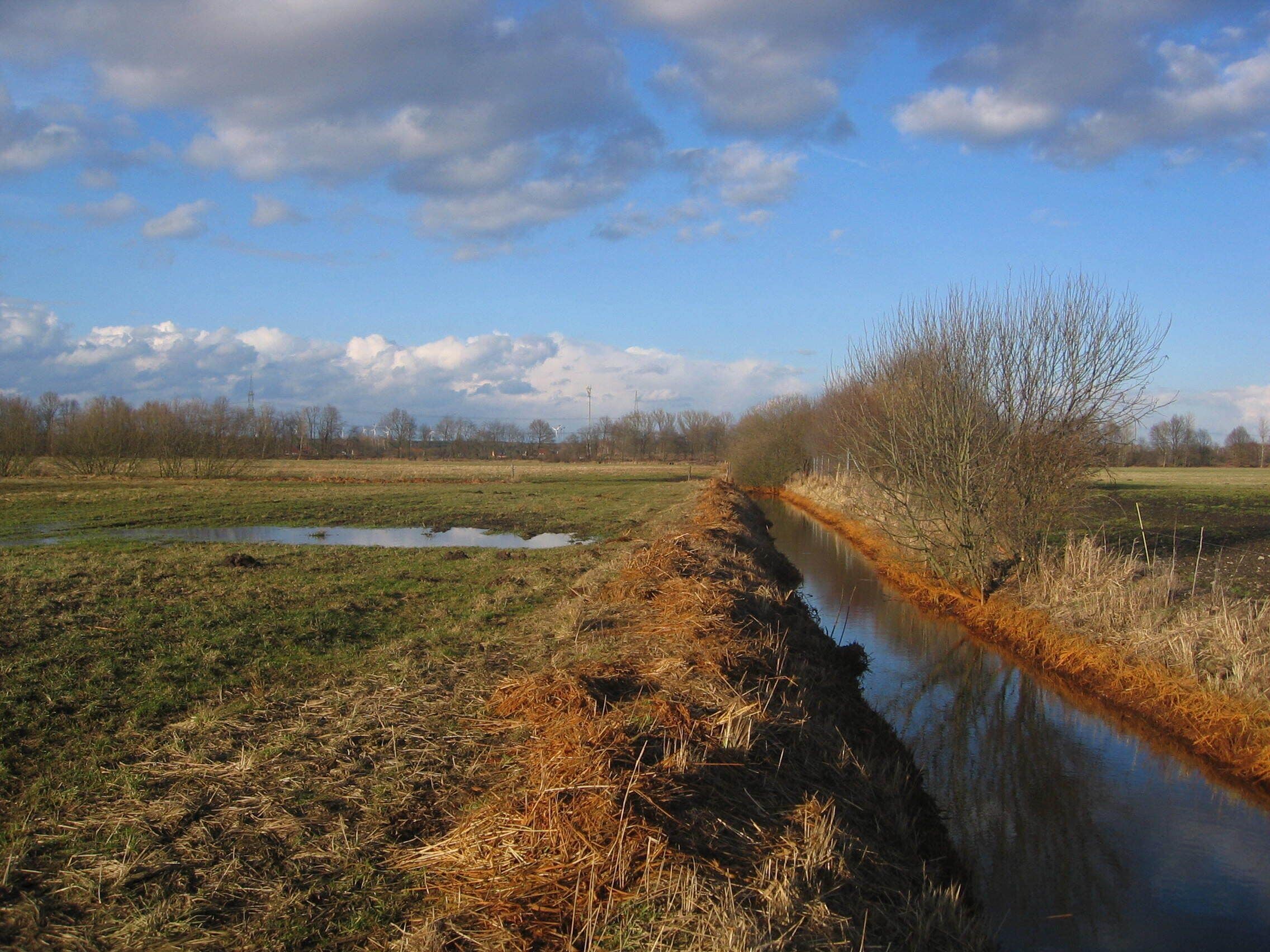 Ruhland, Am Buschgraben, Blick nach Nordnordost; unmittelbar vorn Am Buschgraben (Flurname), früher In den Buschwiesen (alter Flurname); im Hintergrund die Baumreihe auf den Elsterdeichen, davor und rechts auch dahinter "An der Schwarzen Elster (West)" (Flurname); früher hinter der Schwarzen Elster links Die Breite (alter Flurname) rechts Schinderwinkel (alter Flurname)