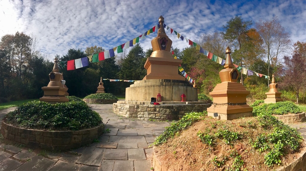 A small part of the KPC Peace Park. Happy wandering.