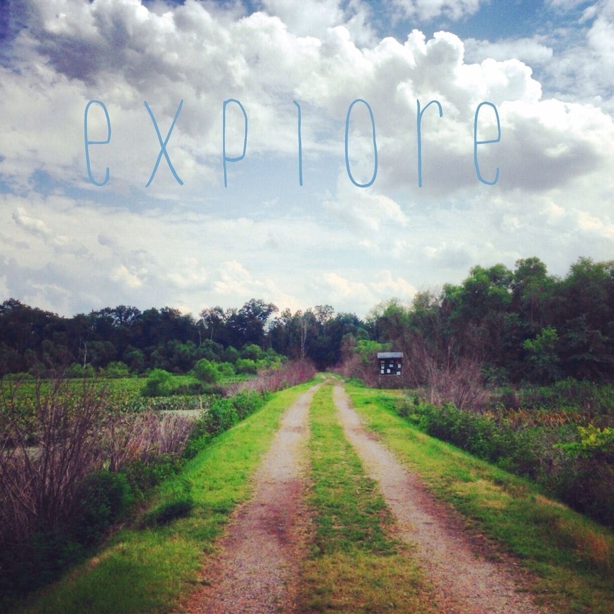 The path less traveled 