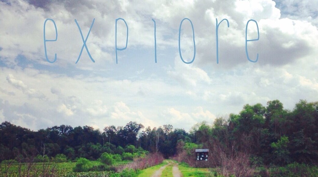 The path less traveled